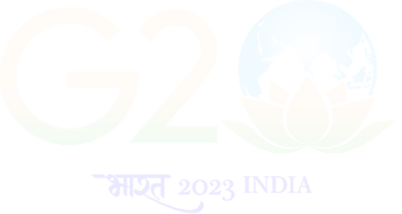 G20